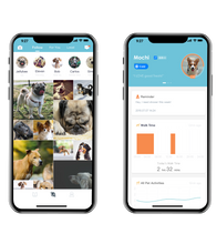 Load image into Gallery viewer, Instachew petkit Smart Space Leash