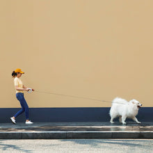 Load image into Gallery viewer, Instachew petkit Smart Space Leash