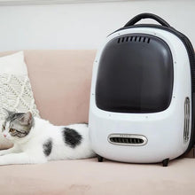 Load image into Gallery viewer, Instachew PETKIT BREEZY Pet Carrier (Built-in fan and light)