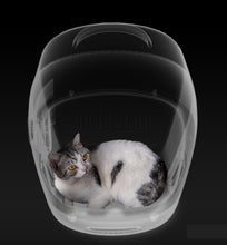 Load image into Gallery viewer, Instachew PETKIT BREEZY Pet Carrier (Built-in fan and light)