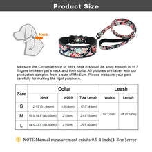 Load image into Gallery viewer, Spring Dog Collar & Leash Set