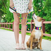 Load image into Gallery viewer, Spring Dog Collar & Leash Set