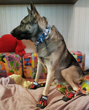 Load image into Gallery viewer, Wide Martingale Dog Collar