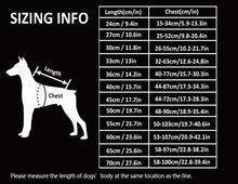 Load image into Gallery viewer, Truelove Waterproof Dog Winter Coat