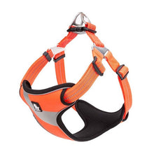 Load image into Gallery viewer, Truelove Adjustable Easy on Dog Harness
