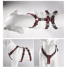 Load image into Gallery viewer, Truelove Best Double H Trail Runner No-Pull Dog Harness