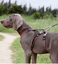 Load image into Gallery viewer, Truelove Best Double H Trail Runner No-Pull Dog Harness