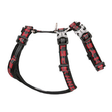 Load image into Gallery viewer, Truelove Best Double H Trail Runner No-Pull Dog Harness