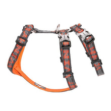 Load image into Gallery viewer, Truelove Best Double H Trail Runner No-Pull Dog Harness