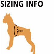 Load image into Gallery viewer, Truelove 2-in-1 Adventure Backpack-Harness