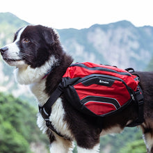 Load image into Gallery viewer, Truelove 2-in-1 Adventure Backpack-Harness