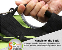 Load image into Gallery viewer, Truelove 2-in-1 Adventure Backpack-Harness