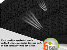 Load image into Gallery viewer, Truelove 2-in-1 Adventure Backpack-Harness