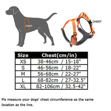 Load image into Gallery viewer, Truelove Tactical Control Padded Dog Harness