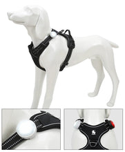 Load image into Gallery viewer, Truelove Pet Safety Flashing Dog Led