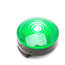 Load image into Gallery viewer, Truelove Pet Safety Flashing Dog Led