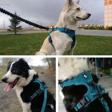 Load image into Gallery viewer, Truelove Reflective Body Dog Harness