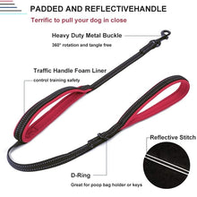 Load image into Gallery viewer, Reflective Dog Leash with Traffic Handle