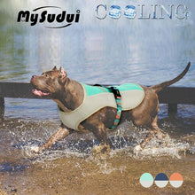 Load image into Gallery viewer, Dog Summer Cooling Vest
