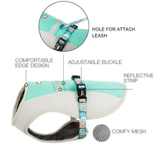 Load image into Gallery viewer, Dog Summer Cooling Vest