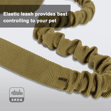 Load image into Gallery viewer, Truelove Bungee Dog Leash