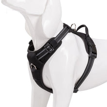 Load image into Gallery viewer, Truelove No Pull Dog Harness