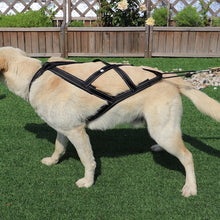 Load image into Gallery viewer, Reflective Dog Weight Pulling Harness