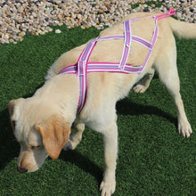 Load image into Gallery viewer, Reflective Dog Weight Pulling Harness