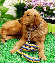 Load image into Gallery viewer, Matching Martingale Collar and Leash Rope Sets