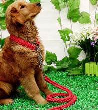 Load image into Gallery viewer, Matching Martingale Collar and Leash Rope Sets