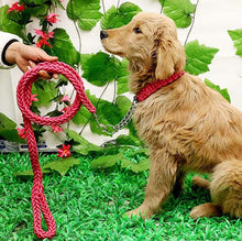 Load image into Gallery viewer, Matching Martingale Collar and Leash Rope Sets