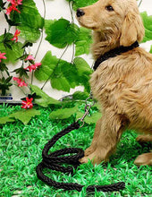 Load image into Gallery viewer, Matching Martingale Collar and Leash Rope Sets