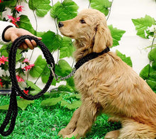 Load image into Gallery viewer, Matching Martingale Collar and Leash Rope Sets