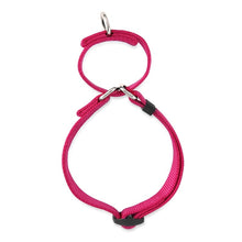 Load image into Gallery viewer, Dog Training Nylon Martingale Collar