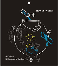 Load image into Gallery viewer, Truelove Pet Cooling Vest