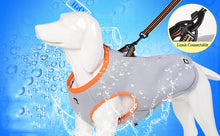 Load image into Gallery viewer, Truelove Pet Cooling Vest