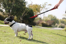 Load image into Gallery viewer, Reflective Dog Leash with Traffic Handle