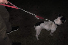 Load image into Gallery viewer, Reflective Dog Leash with Traffic Handle