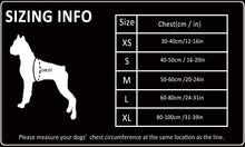 Load image into Gallery viewer, Truelove Best Double H Trail Runner No-Pull Dog Harness