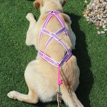 Load image into Gallery viewer, Reflective Dog Weight Pulling Harness