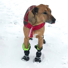 Load image into Gallery viewer, Winter Dog Boots (100% Waterproof)