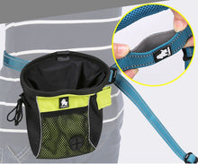 Load image into Gallery viewer, Truelove 5 In 1 Hands Free Running Dog Leash