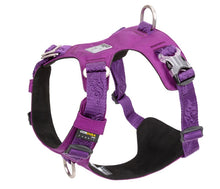 Load image into Gallery viewer, Truelove Lightweight Waterproof Dog Harness