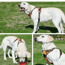 Load image into Gallery viewer, Truelove No Pull Padded Dog Harness