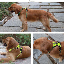 Load image into Gallery viewer, Truelove No Pull Padded Dog Harness