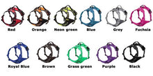 Load image into Gallery viewer, Truelove No Pull Padded Dog Harness