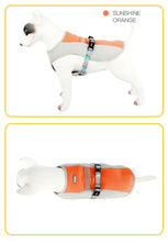 Load image into Gallery viewer, Dog Summer Cooling Vest