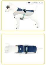 Load image into Gallery viewer, Dog Summer Cooling Vest
