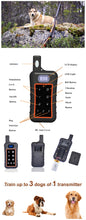 Load image into Gallery viewer, Trainertec Waterproof E-Collar with Remote
