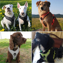 Load image into Gallery viewer, Truelove Tactical Control Padded Dog Harness